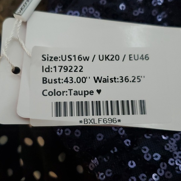 NWT, JJ House Taupe Gown Size 16W - Picture 5 of 5